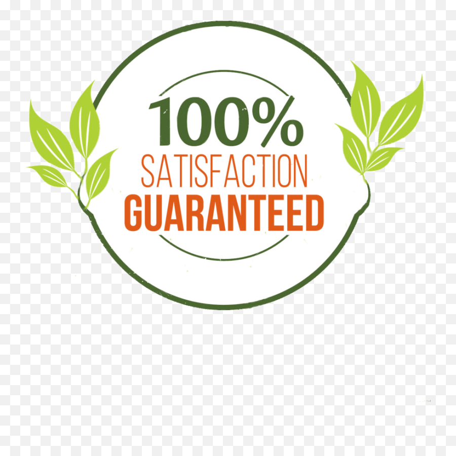 100 Customer Service Guarantee - Wydad Casablanca Png,Satisfaction Guaranteed Logo