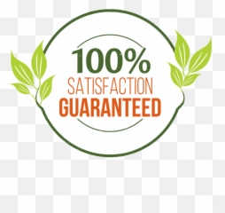100 Customer Service Guarantee - Wydad Casablanca Png,Satisfaction Guaranteed Logo
