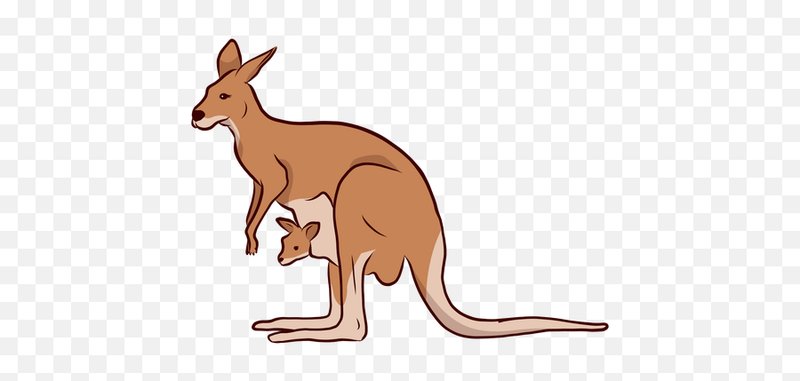 Kangaroo Baby Ear Tail Leg - Kangaroo Illustration Png,Kangaroo Png