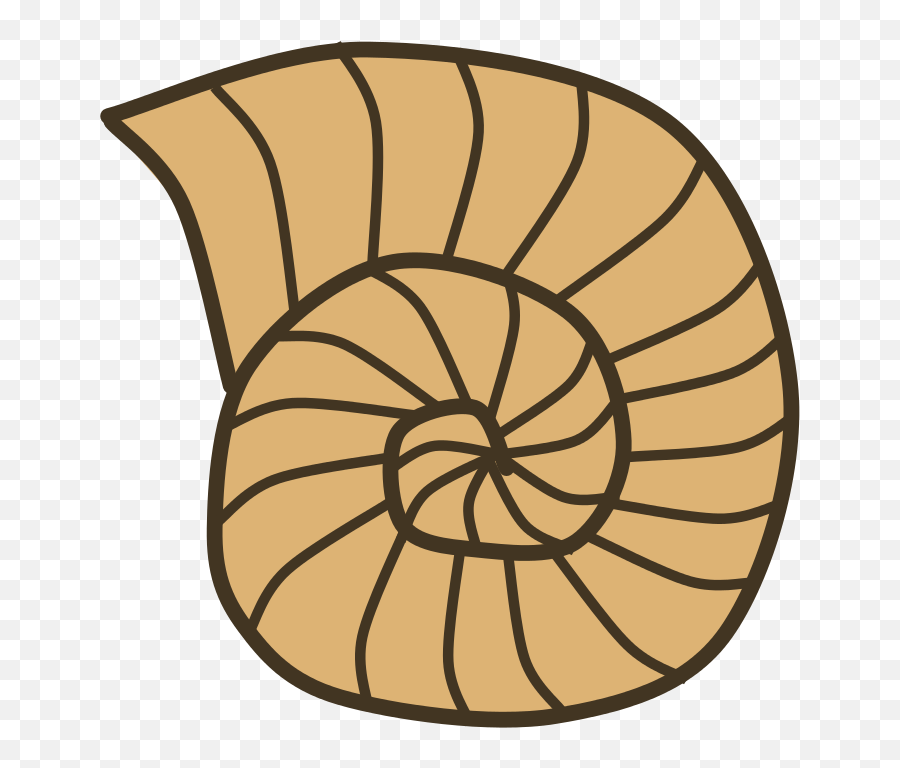 Fossil Clipart History - Cartoon Snail Shell Png,Fossil Png