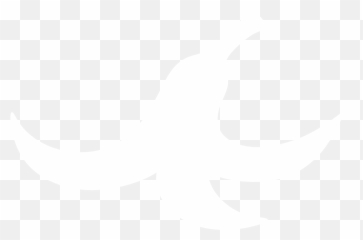 Banana Peel - Png White