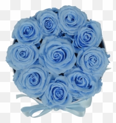 Original Baby Blue Roses - png