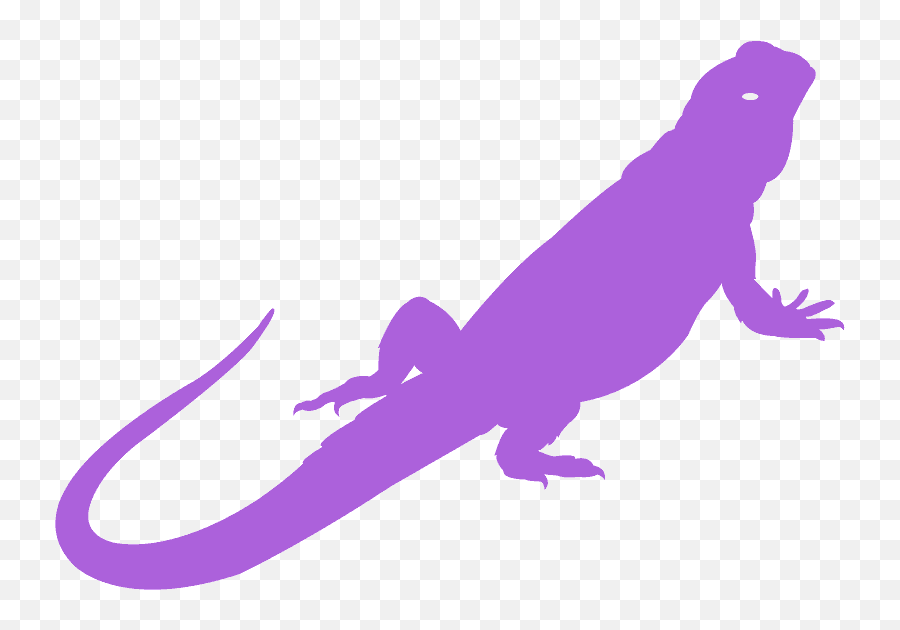 Bearded Dragon Silhouette - Free Vector Silhouettes Creazilla Silhouette Bearded Dragon Png,Bearded Dragon Png