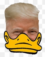 Freetoedit Trump Donald Sticker By Pimvdhoek - Duck Trump Png