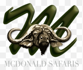Mcdonald Hunting Safaris - Horn png