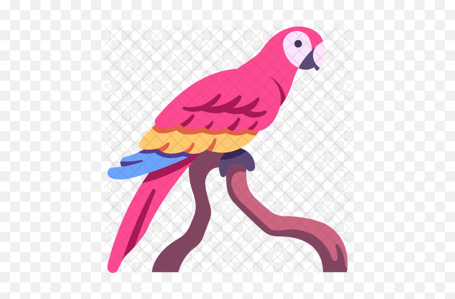 Macaws Icon - Pet Birds Png,Macaw Png