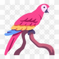 Macaws Icon - Pet Birds Png,Macaw Png