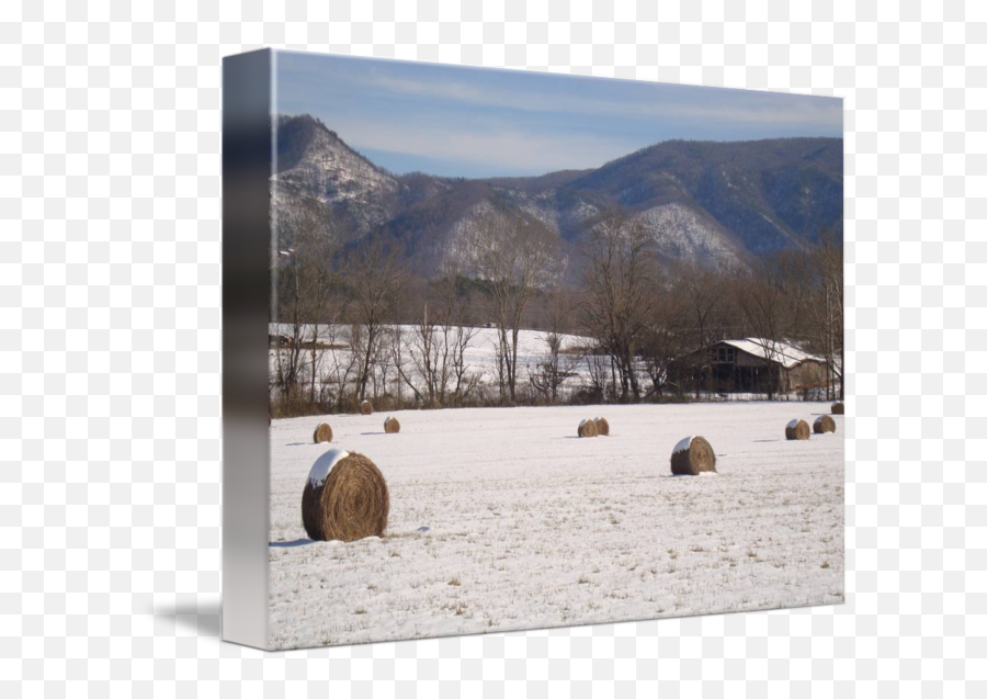 Wintertime In The Great Smoky Mountains By Arthur Curley - Hill Station Png,Smoky Background Png