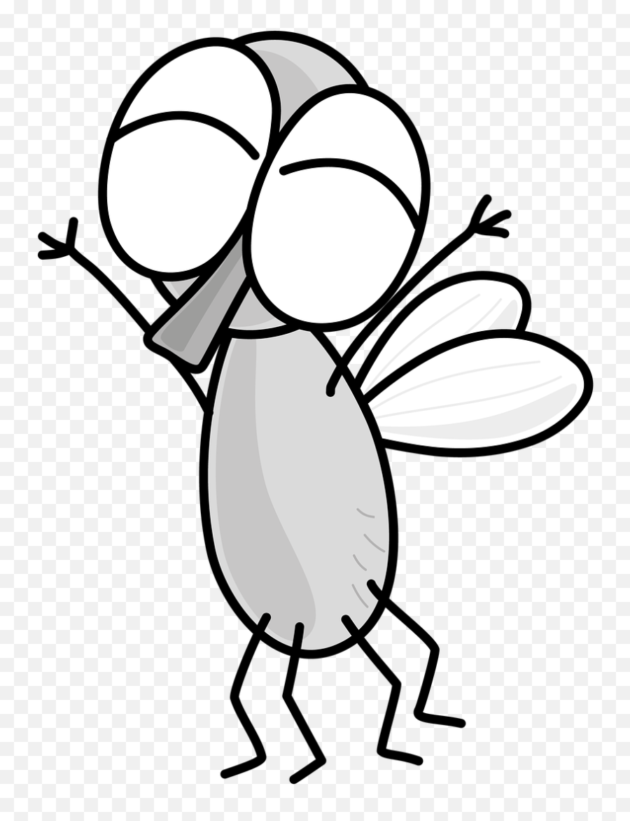 Fly Bug Insect - Free Image On Pixabay Dot Png,Cartoon Wings Png