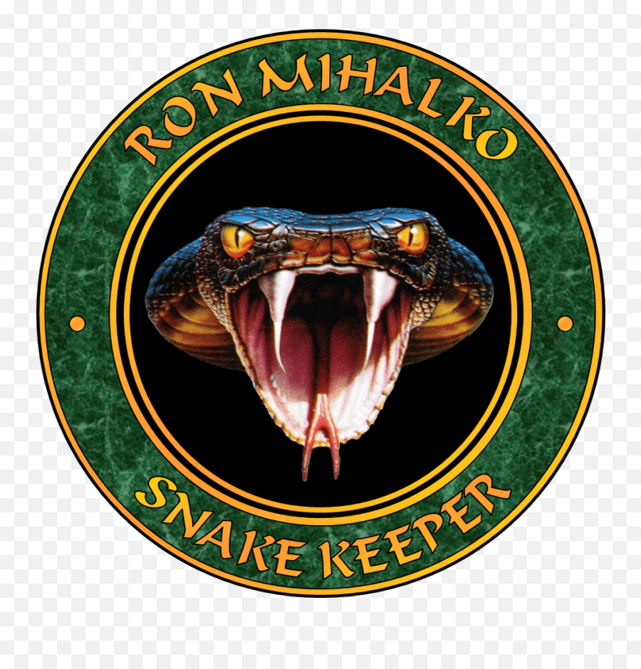 Download Snake Keeper Logo - Full Size Png Image Pngkit Viper,Snake Head Png