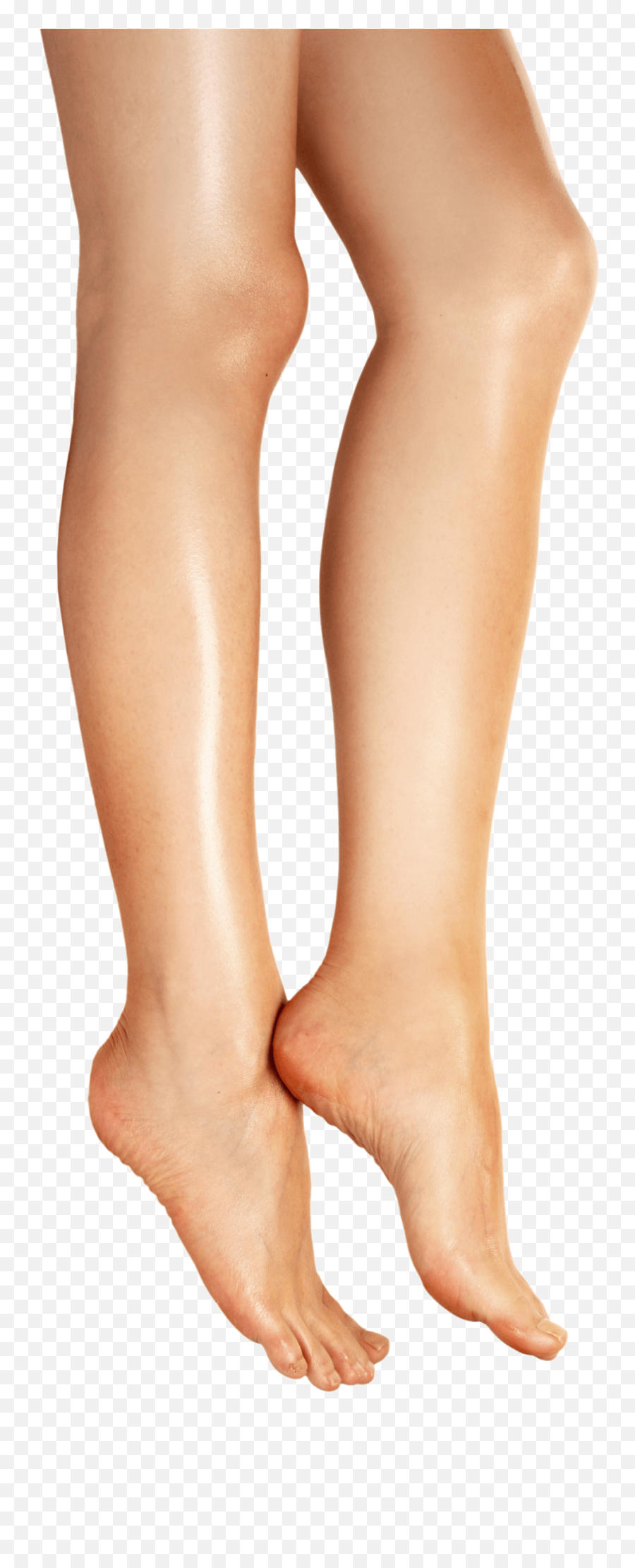 Transparent Leg - Part Of The Body Legs Png,Leg Transparent
