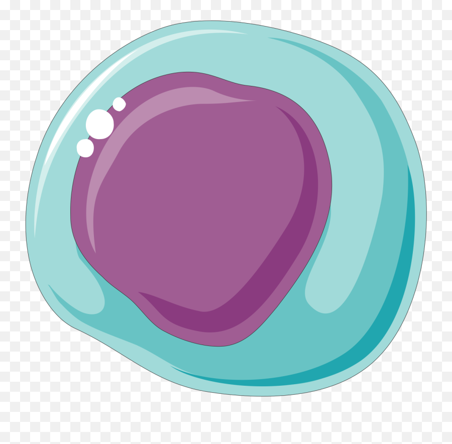 Stem Cells 1 - Dot Png,Cells Png