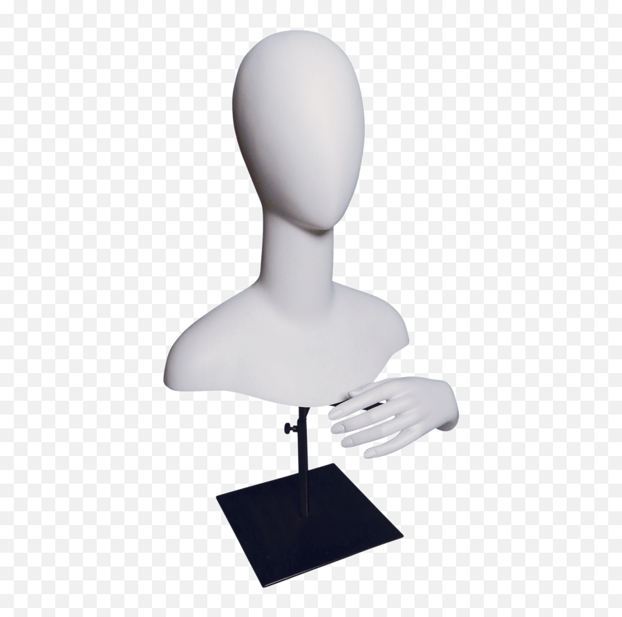 Head And Hand Display U2014 Bernstein Png Mannequin