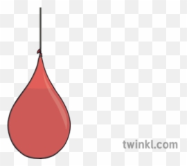 Water Balloon String Illustration - Twinkl Vertical png