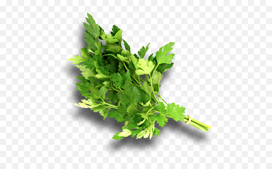 2 - Water Celery Png,Parsley Png