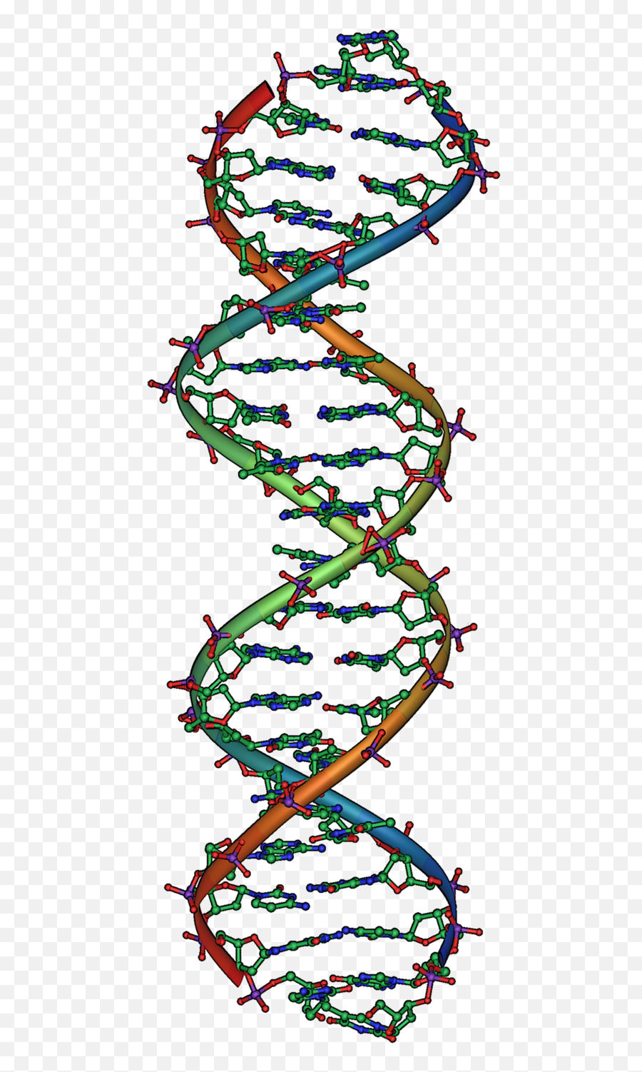 Dna Overview2 - Human Genome Png,Dna Transparent