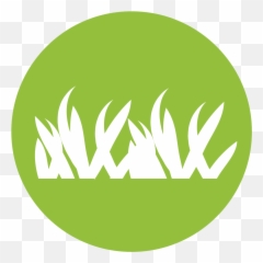 Grass - Horizontal png