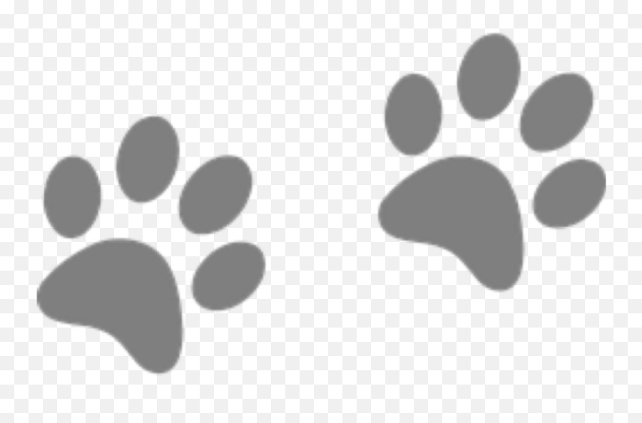 Paw Print Png Transparent - Paw Print Clip Art,Cat With Transparent Background
