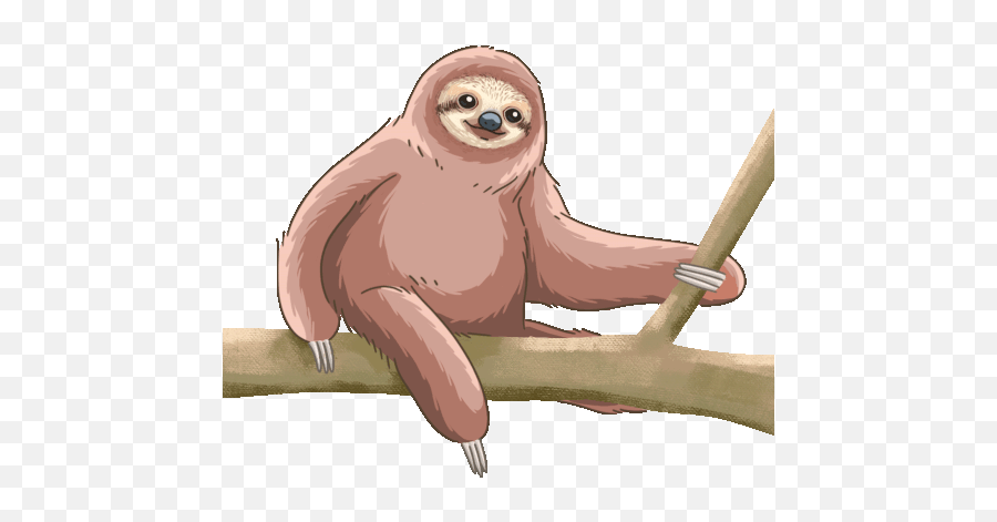 Sloth Pygmy Three Toed Gif - Sloth Pygmythreetoedsloth Discover U0026 Share Gifs Pygmy Sloth Png,Sloth Icon