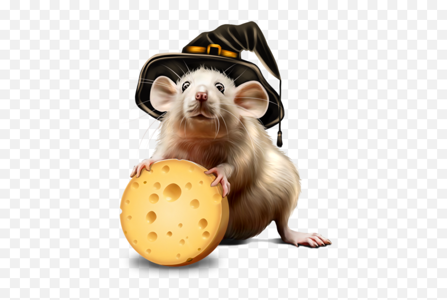 Rat Computer Mouse Mus For Halloween - 600x600 Snack Png,Rat Icon