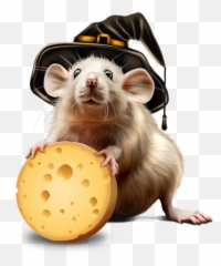 Rat Computer Mouse Mus For Halloween - 600x600 Snack png