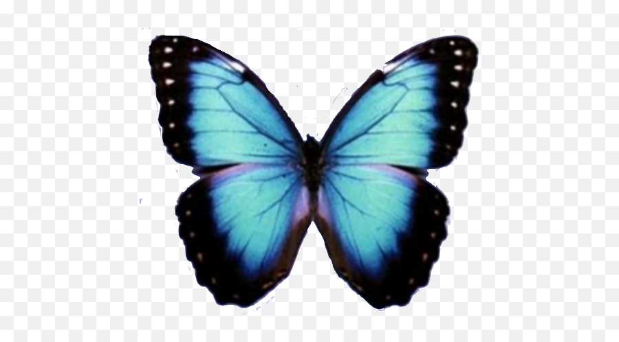 Blue Butterfly Png - Mariposas Png Vintage,Blue Butterflies Png