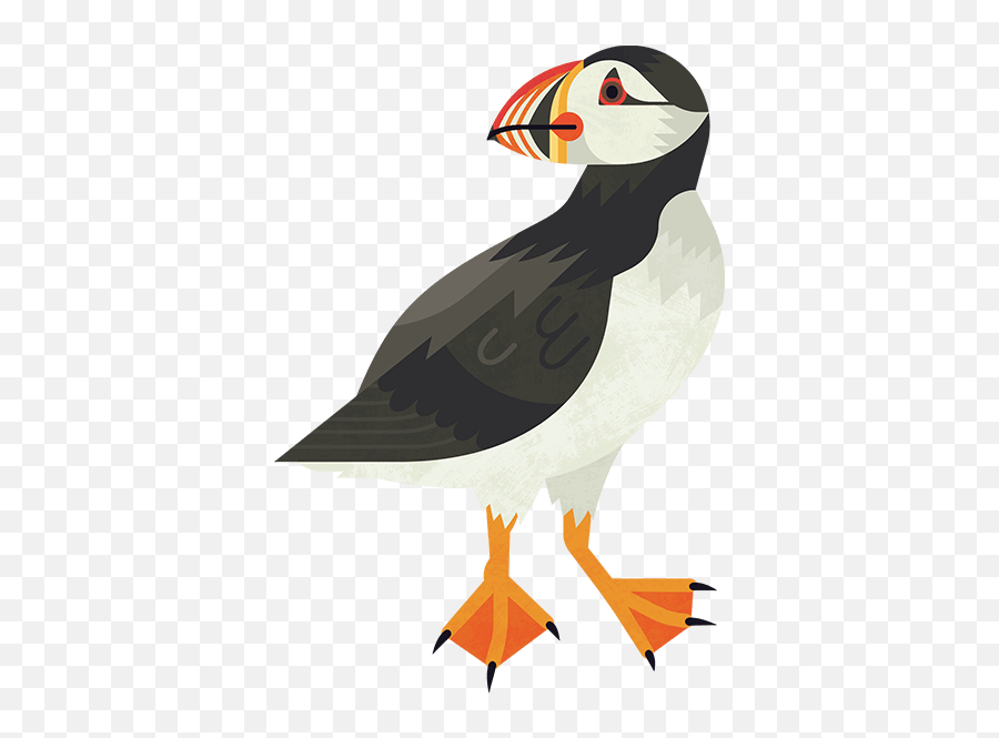 Your Donation Doubled This Christmas With The Big Give - Atlantic Puffin Png,Puffin Icon