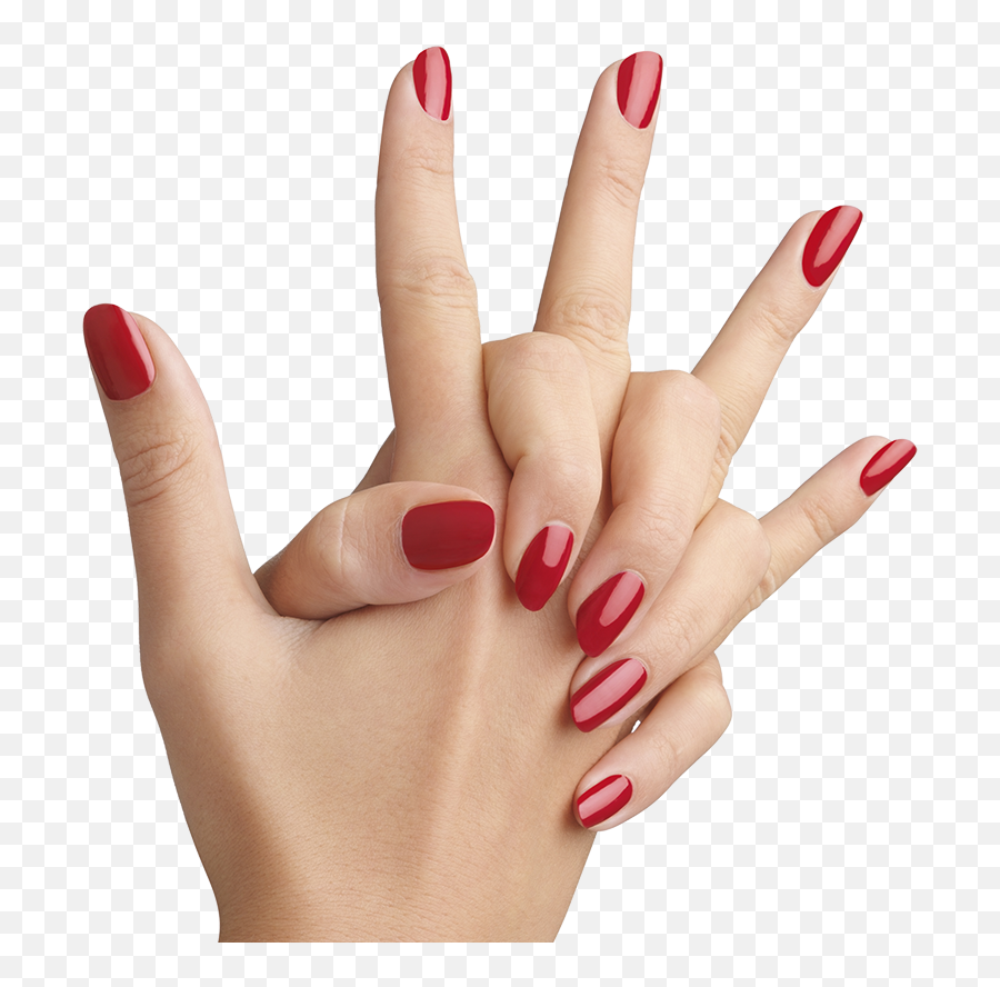 Download Nails Color Png Image For Free - Nail Finger Png,Nail Polish Png