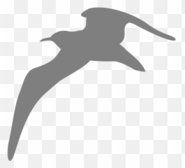 Seagulls Flying Png - Clip Art