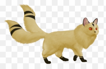I Tried To Make A Realistic Rendition Of Kirara Inuyasha - Kirara Inuyasha Real Life Png,Inuyasha Png