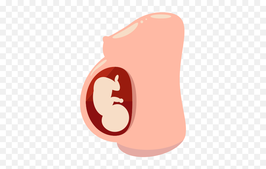 Pregnant Belly Free Icon Of Flat - Reproduction Png,Pregnant Png