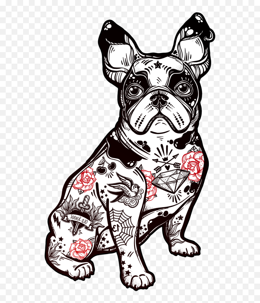 Download Pug Bully Bulldog Breed Dog French American Clipart - French Bulldog Illustration Png,Pug Face Png