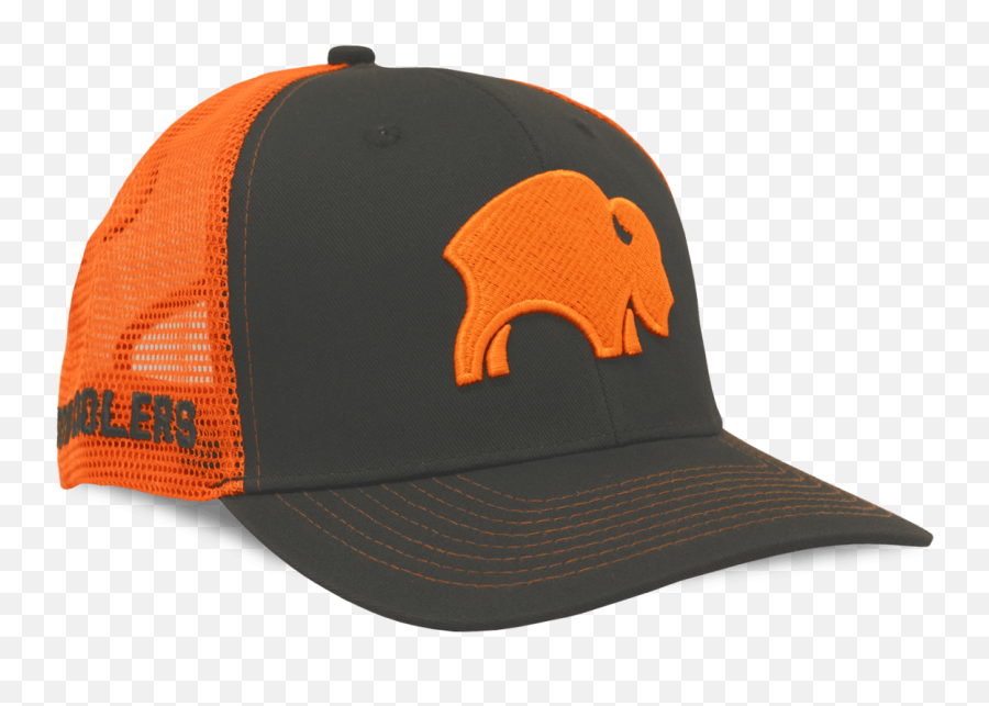 Bison Cap Clipart - Full Size Clipart 1800518 Pinclipart Bison Hat Orange Png,Dunce Cap Png