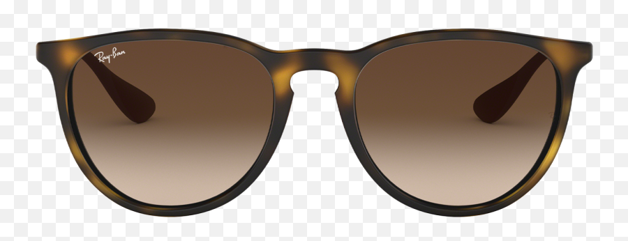 Sunglasses - Free Shipping Rayban Us Erika Classic Png,Circle Glasses Png