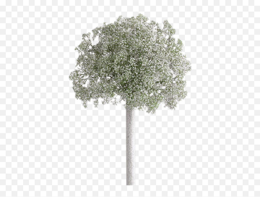 Flowers Kedzie Ave Chicago - Breath Centerpiece Png,Baby's Breath Png