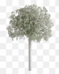 Flowers Kedzie Ave Chicago - Breath Centerpiece Png,Baby's Breath Png