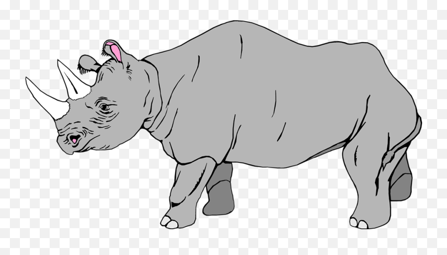 Rhinoceros Png Image - Transparent Background Rhino Clip Art,Rhino Transparent Background