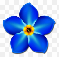 Download 774 X 784 3 - Forget Me Not Flower Clipart Png,Forget Me Not Png