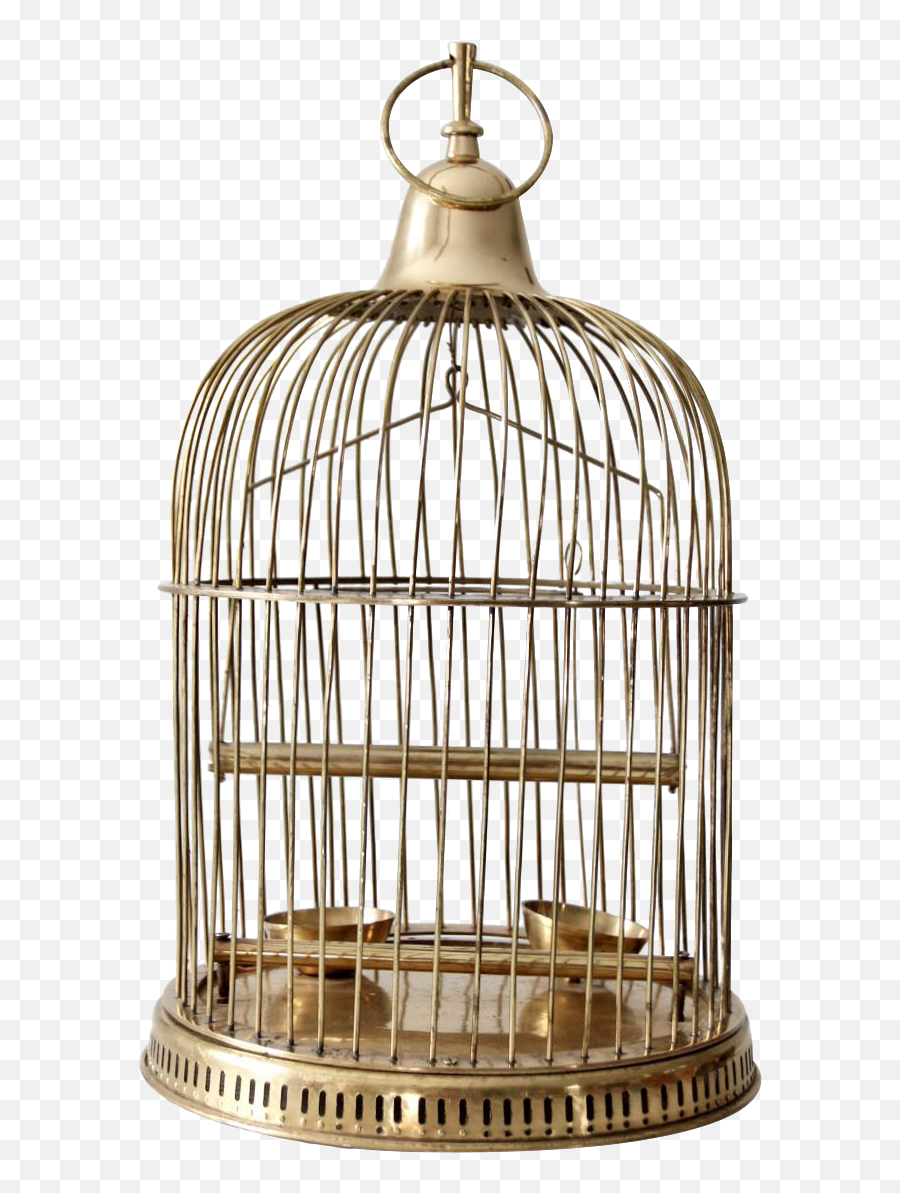 Vintage Bird Cage Transparent Png - Brass Bird In Cage,Bird Cage Png