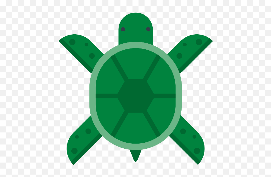 Turtle Png Icon - Python Turtle Icon Png,Turtle Png