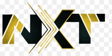 Gold Nxt I Hope You Like This - Christian Cross png