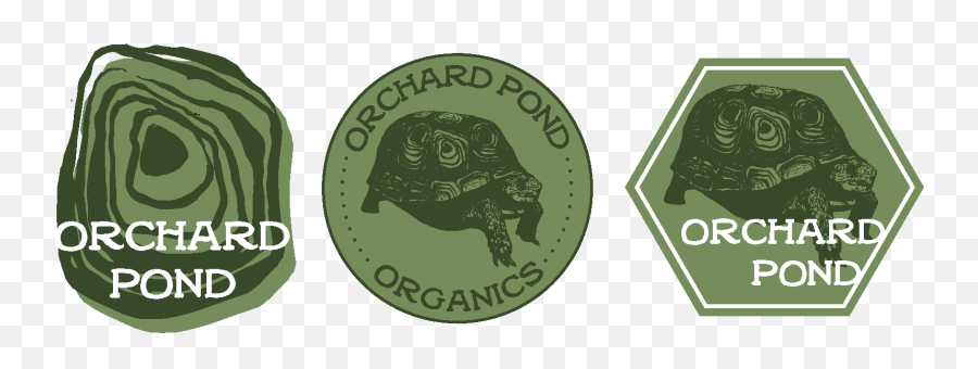 Orchard Pond Logos By Margaret Morgan - Holy Names Academy Png,Organic Logos