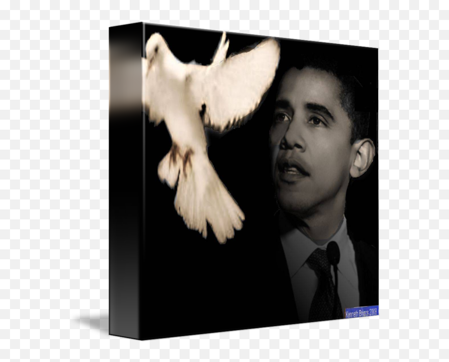 Obama Black And White Dove Of Hope Wednesday By Kenneth Briggs - President Obama Png,White Doves Png