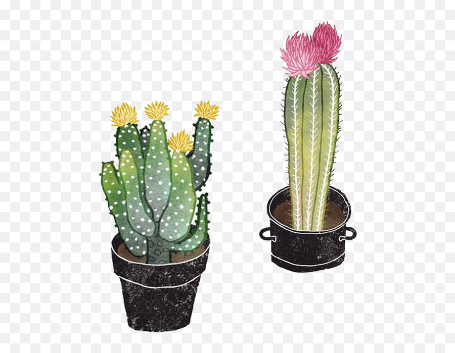 Png - Cactus Illustration Png,Cute Cactus Png