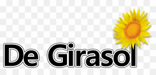 Buddies List 101 Discordu0027s Function Brings The - Dot Png,Girasol Png