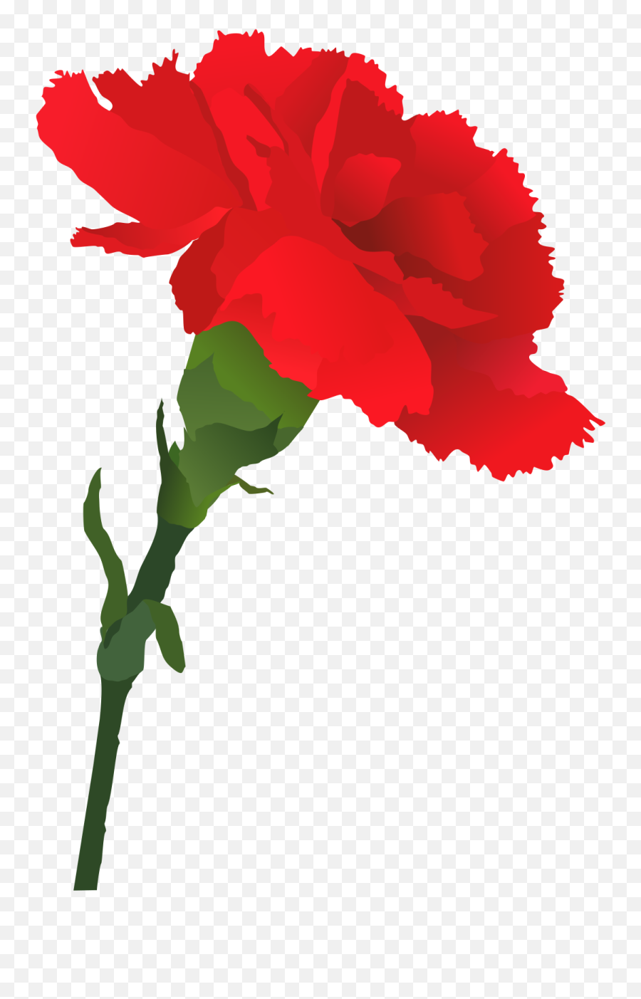 Free Clip Art - Red Carnation Clip Art Png,Carnation Png