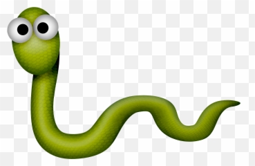 Smooth Green Snake Clipart Egg Png