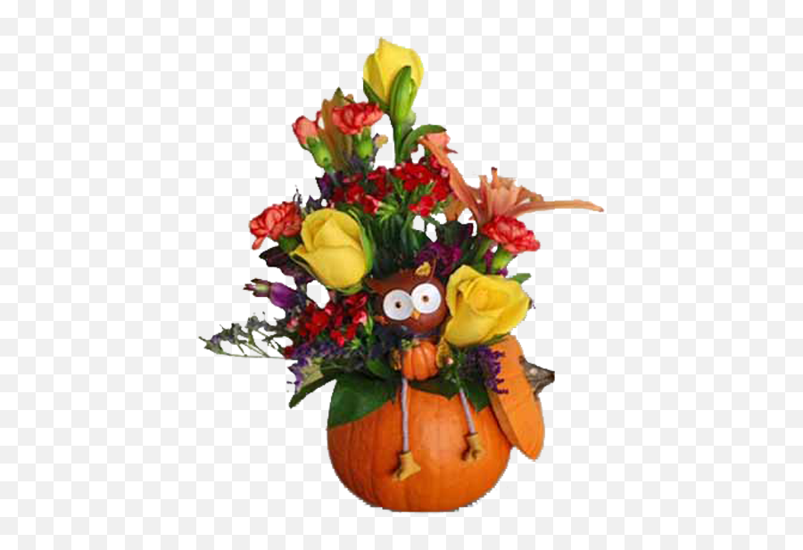 Pumpkin Owl - Floral Png,Thanksgiving Pumpkin Png