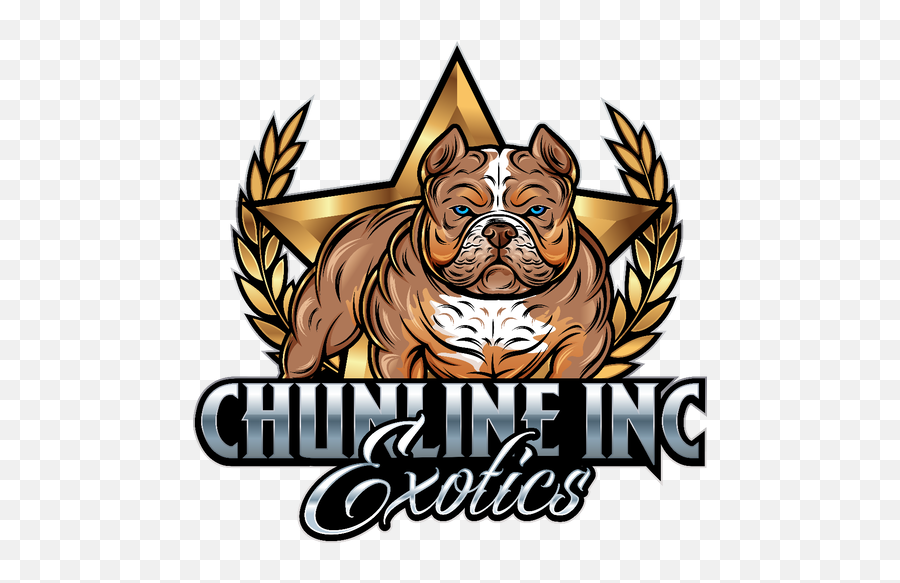 French Bulldogs Exotic American Bullies - American Bully Cartoon Logo  Png,American Bully Logo - free transparent png images 
