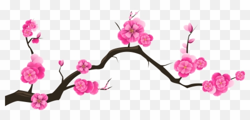 Japanese Cherry Blossom Drawing Black - Transparent Branch png